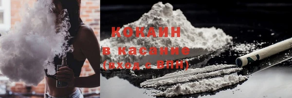 крисы Алзамай