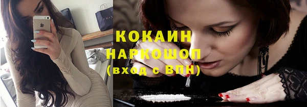 крисы Алзамай