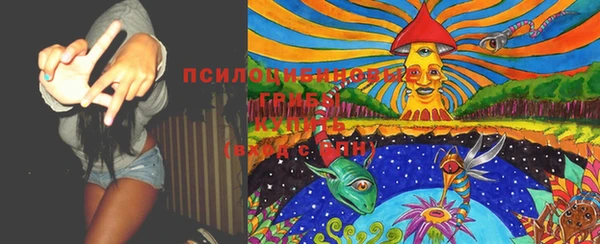 крисы Алзамай