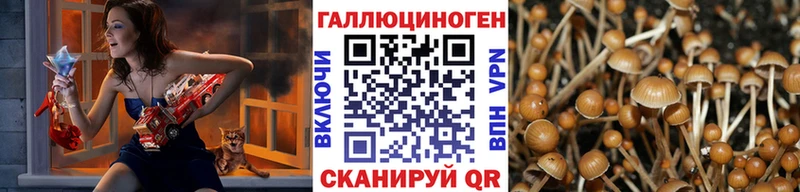 Галлюциногенные грибы Cubensis  Менделеевск 
